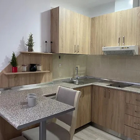 Piazza Downtown Cozy 公寓 地拉那